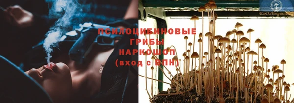 тгк Абаза