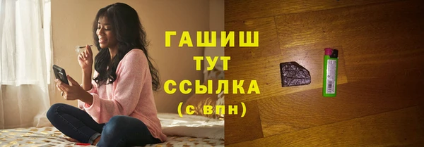 индика Надым