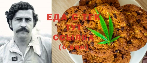 тгк Абаза