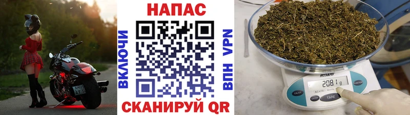 Канабис MAZAR Щучье