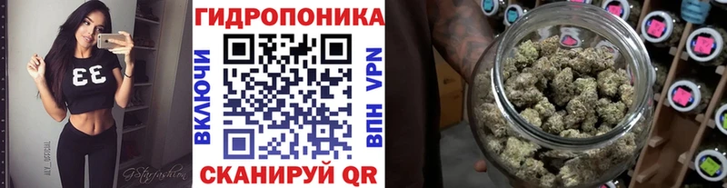 Каннабис White Widow где можно купить наркотик Щучье
